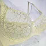 Lager Bosom Lace Perspective Bra